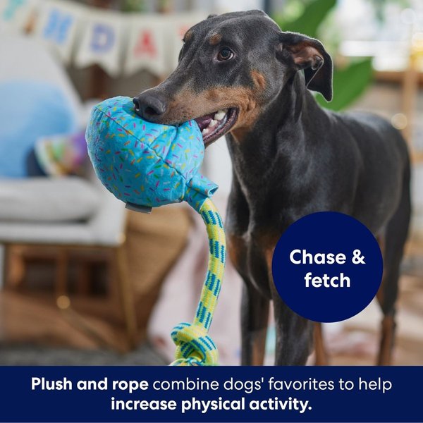 Show full view: Frisco Birthday Balloon Dog Toy, Blue, Medium/Large slide 4 of 6