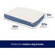 Show in main carousel: Frisco Plush Pillow Cat & Dog Bed w/ Removable Cover, Navy Herringbone, Large slide 2 of 8