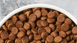 Sensitive Skin & Stomach