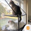 Show in main carousel: K&H Pet Products EZ Mount Double Stack Kitty Sill Cat Window Perch, Gray slide 7 of 10