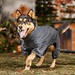 Show in main carousel: Frisco All Weather Bonded Dog Suit with Knit Snood, Charcoal, X-Large slide 7 of 9