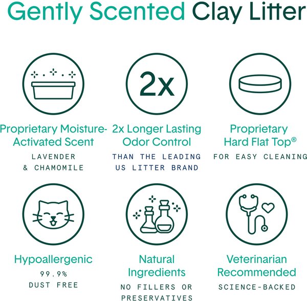 Show full view: Boxiecat Gently Scented Premium Clumping Clay Cat & Kitty Litter, 7.26-kg bag slide 4 of 12