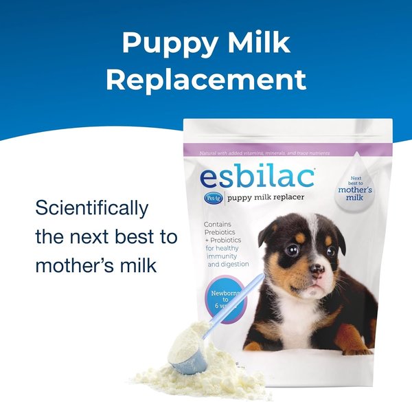 Show full view: PetAg Esbilac Powder Milk Supplement for Puppies, 2.27-kg bag slide 3 of 7