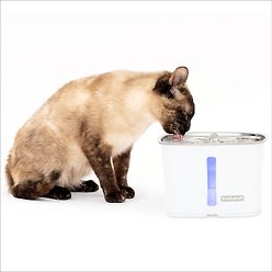 PetSafe Viva Stainless Steel Cat & Dog Fountain, Steel, 64-oz