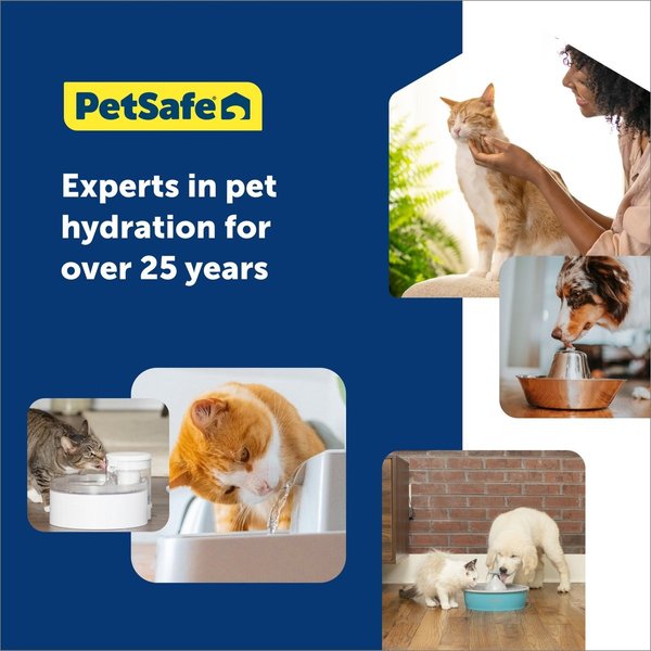 Show full view: PetSafe Ion-X Dual Filtration Pet Water Fountain Filter Replacement, 4 count slide 6 of 8
