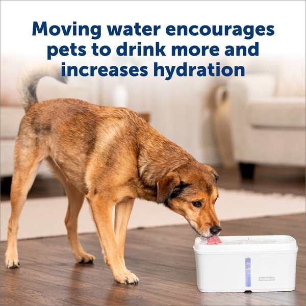 Show full view: PetSafe Viva Plastic Cat & Dog Fountain, White, 140-oz slide 3 of 8