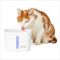 PetSafe Viva Plastic Cat & Dog Fountain, White, 64-oz