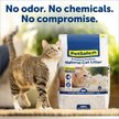 Show in main carousel: PetSafe ScoopFree Premium Natural Non-Clumping Cat Litter, 3.63-kg bag slide 2 of 9