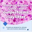 Show in main carousel: PetSafe ScoopFree Premium Lavender Crystal Cat Litter, 3.63-kg bag slide 2 of 7