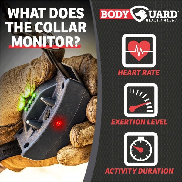 Show full view: SportDOG FieldSentinel 1825 Remote Training Dog Collar, 1-Mile slide 3 of 7