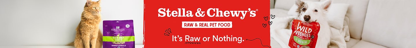 Stella & Chewy's It's Raw or Nothing