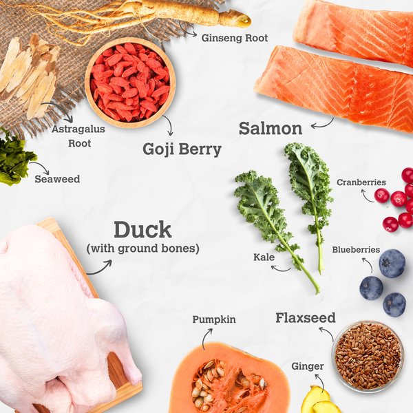 Show full view: Charmy Salmon & Duck Boost with Ginseng Dog Food & Topper, 383-g bag slide 3 of 5