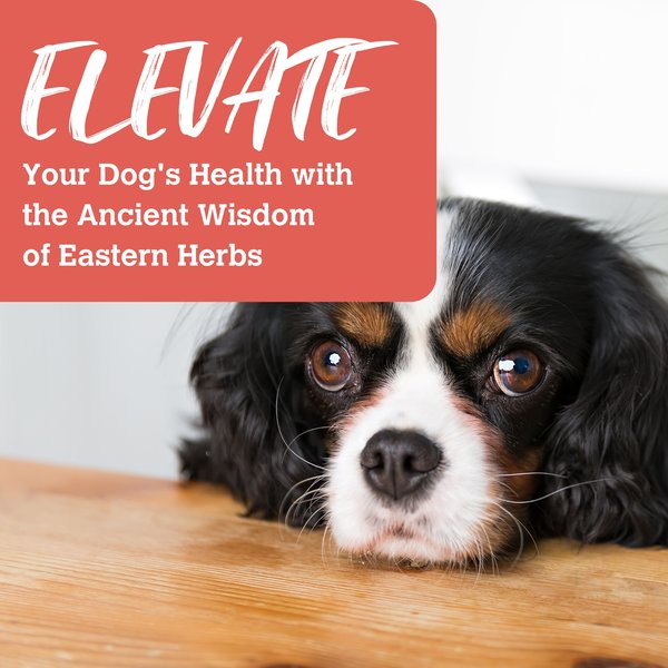 Show full view: Charmy Beef & Duck Boost with Goji Berry Dog Food & Topper, 383-g bag slide 5 of 5