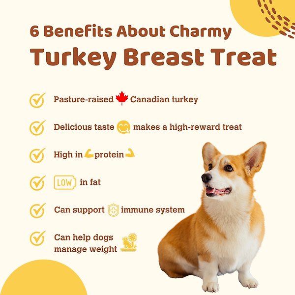 Show full view: Charmy Air-Dried Turkey Breast Dog & Cat Treats, 90-g bag slide 4 of 6