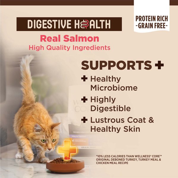 Show full view: Wellness CORE Digestive Health Wholesome Grains Salmon & Rice Recipe Dry Cat Food, 5-kg bag slide 3 of 9