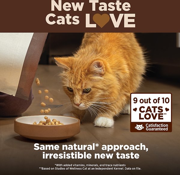 Show full view: Wellness CORE Digestive Health Wholesome Grains Chicken & Rice Recipe Dry Cat Food, 5-kg bag slide 10 of 16