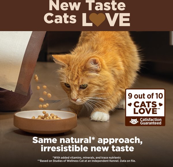 Show full view: Wellness CORE Digestive Health Wholesome Grains Salmon & Rice Recipe Dry Cat Food, 5-kg bag slide 5 of 9