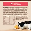Show in main carousel: Wellness CORE Digestive Health Wholesome Grains Salmon & Rice Recipe Dry Cat Food, 5-kg bag slide 7 of 9