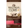 Show in main carousel: Wellness CORE Digestive Health Wholesome Grains Salmon & Rice Recipe Dry Cat Food, 5-kg bag slide 1 of 9