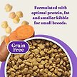 Show in main carousel: Halo Holistic Complete Digestive Health Grain-Free Chicken & Sweet Potato Dog Food Recipe Small Breed Dry Dog Food, 1.59-kg bag slide 8 of 11