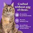 Show in main carousel: Halo Chicken, Salmon, Turkey Variety Pack Adult Grain-Free Soft Pate in Broth Wet Cat Food, 5.5-oz, case of 12 slide 6 of 8