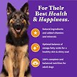 Show in main carousel: Halo Holistic Complete Digestive Health Grain-Free Chicken & Sweet Potato Dog Food Recipe Adult Dry Dog Food, 4.54-kg bag slide 8 of 11