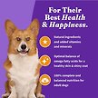 Show in main carousel: Halo Holistic Complete Digestive Health Grain-Free Chicken & Sweet Potato Dog Food Recipe Small Breed Dry Dog Food, 1.59-kg bag slide 7 of 11