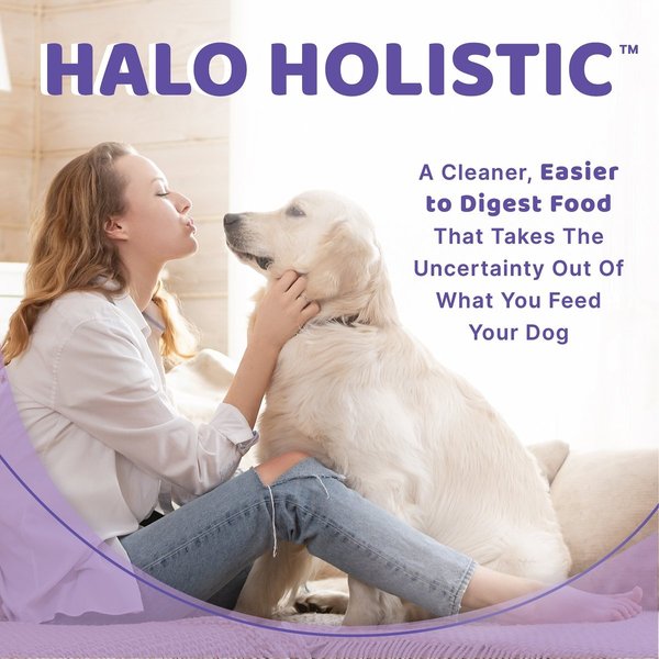 Show full view: Halo Stew Variety Pack Canned Dog Food, 13.2-oz can, case of 6 slide 3 of 8