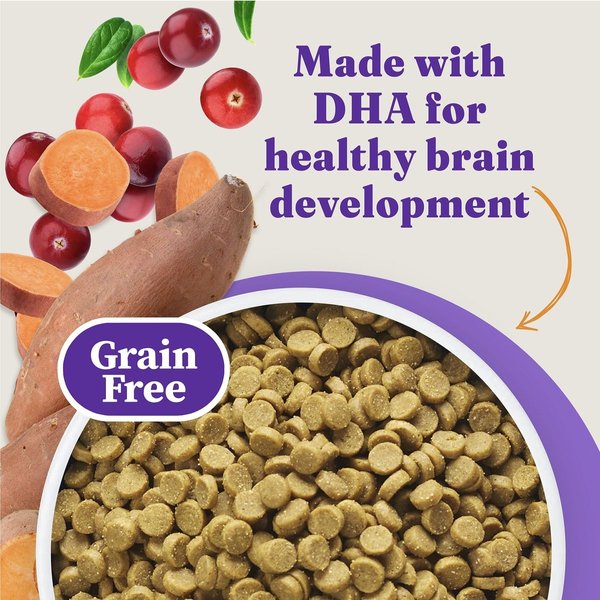 Show full view: Halo Holistic Kitten Food Grain-Free Cage-Free Chicken Recipe Complete Digestive Health Dry Cat Food, 2.72-kg bag slide 4 of 10