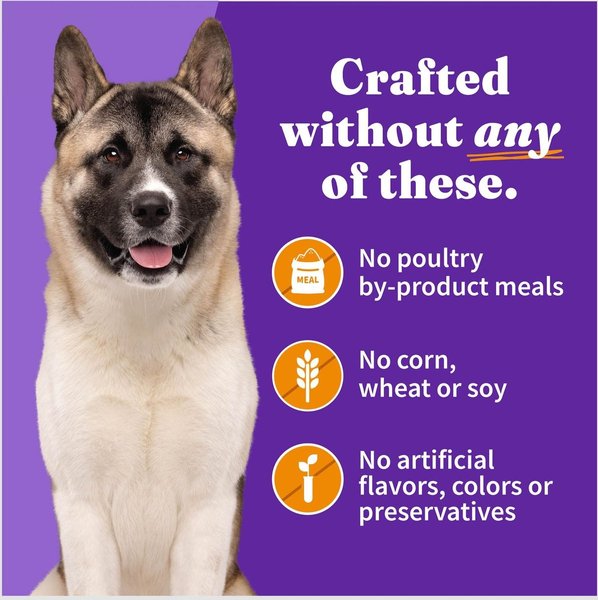 Show full view: Halo Holistic Chicken Recipe Senior Canned Dog Food, 13.2-oz, case of 6 slide 6 of 8