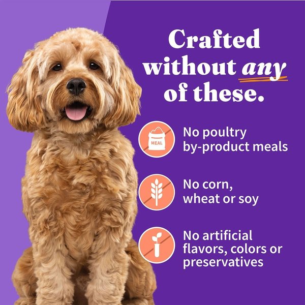 Show full view: Halo Chicken & Salmon Recipe Grain-Free Small Breed Canned Dog Food, 5.5-oz, case of 12 slide 5 of 8