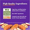 Show in main carousel: Halo Holistic Complete Digestive Health Grain-Free Turkey & Sweet Potato Dog Food Recipe Adult Dry Dog Food, 1.59-kg bag slide 7 of 11