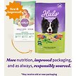 Show in main carousel: Halo Holistic Vegan Dog Food Complete Digestive Health Plant-Based Recipe with Superfoods Adult Formula Dry Dog Food Bag, 1.59-kg bag slide 2 of 10