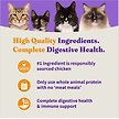 Show in main carousel: Halo Holistic Indoor Chicken Recipe Complete Digestive Health & Healthy Weight Support Adult Grain-Free Cage-Free Dry Cat Food, 2.72-kg bag slide 6 of 11