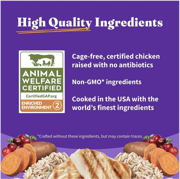 Show full view: Halo Holistic Cage-free Chicken Recipe Complete Digestive Health Adult Dry Cat Food, 2.72-kg bag slide 6 of 10