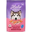 Show in main carousel: Halo Holistic Complete Digestive Health Wild-Caught Salmon & Whitefish Adult Dry Dog Food, 9.53-kg bag slide 1 of 10