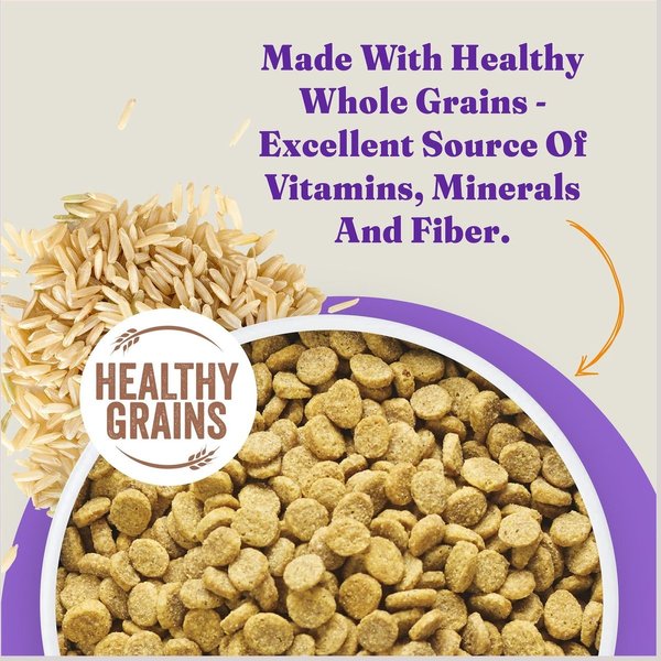 Show full view: Halo Holistic Complete Digestive Health Chicken & Brown Rice Dog Food Recipe Adult Dry Dog Food, 9.53-kg bag slide 7 of 10