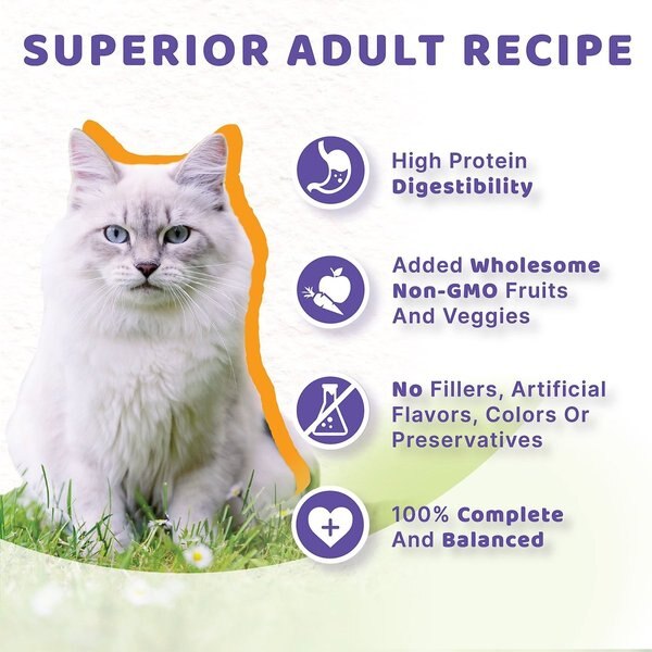 Show full view: Halo Chicken Adult Grain-Free Soft Pate in Broth Wet Cat Food, 5.5-oz can, case of 12 slide 6 of 10