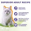 Show in main carousel: Halo Chicken Adult Grain-Free Soft Pate in Broth Wet Cat Food, 5.5-oz can, case of 12 slide 6 of 10