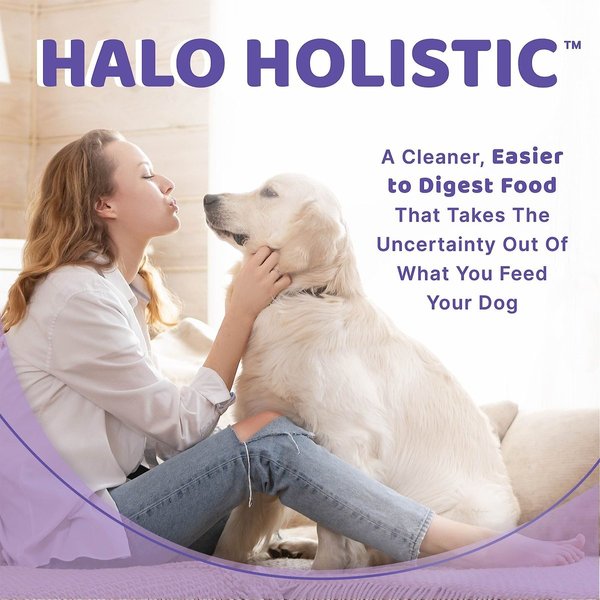 Show full view: Halo Holistic Chicken Stew Adult Canned Dog Food, 13.2-oz, case of 6 slide 3 of 10