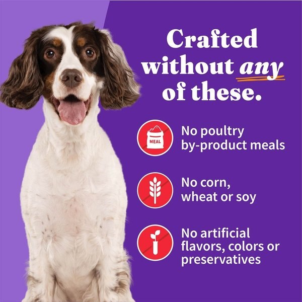 Show full view: Halo Holistic Beef Recipe in Broth Adult Wet Dog Food, 13.2-oz can, case of 6 slide 5 of 10