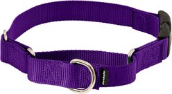 PetSafe Quick Snap Buckle Nylon Martingale Dog Collar, Deep Purple, Large: 33 to 50-cm neck, 2.5-cm wide