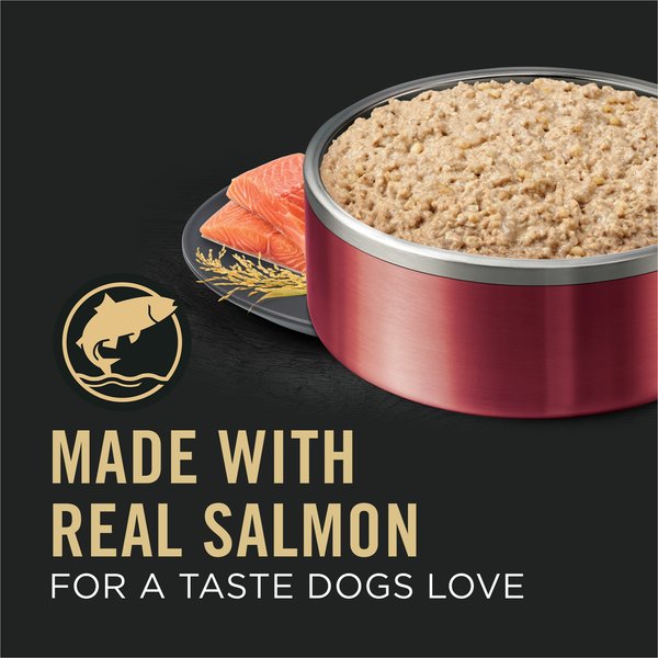 Show full view: Purina Pro Plan Sensitive Skin & Stomach Salmon & Rice Wet Dog Food, 368-g can, case of 12 slide 7 of 7