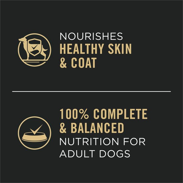 Show full view: Purina Pro Plan Complete Essentials Classic Variety Pack Wet Dog Food, 368-g can, case of 12 slide 4 of 10