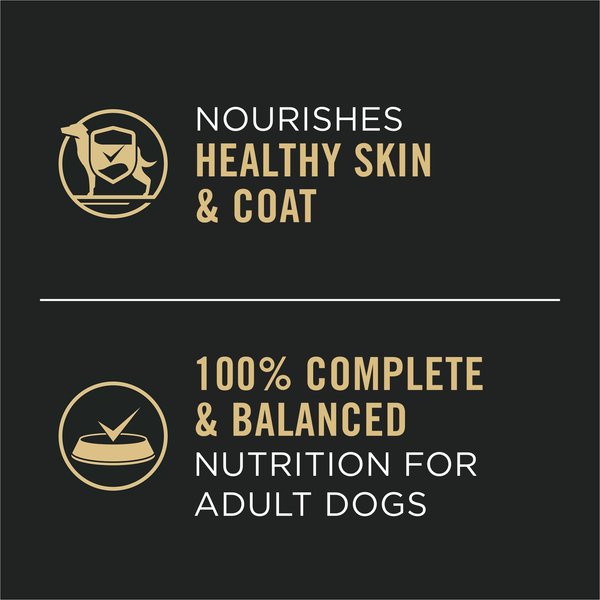 Show full view: Purina Pro Plan Complete Essentials Chicken & Vegetables Entree Slices in Gravy Wet Dog Food, 368-g can, case of 12 slide 4 of 8