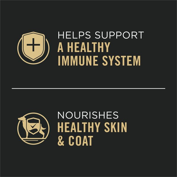 Show full view: Purina Pro Plan Large Breed Chicken & Rice Entree Wet Dog Food, 368-g can, case of 12 slide 4 of 8