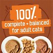 Show in main carousel: Friskies Chicken Lovers Variety Pack Wet Cat Food, 156-g can, case of 24 slide 5 of 8