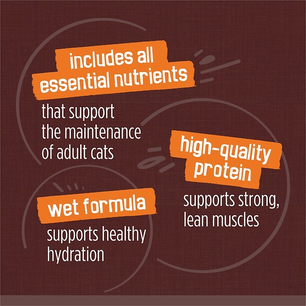 Show full view: Friskies Gravy Pleasers Variety Pack Wet Cat Food, 156-g can, case of 24 slide 6 of 8