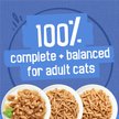 Show in main carousel: Friskies Seafood & Chicken Lovers Variety Pack Wet Cat Food, 156-g can, case of 24 slide 5 of 9