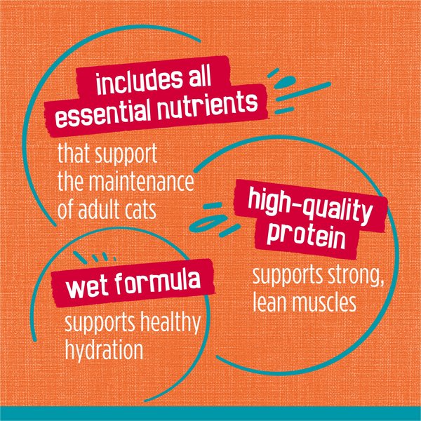 Show full view: Friskies Tasty Treasures with Chicken & Tuna in Sauce Wet Cat Food, 156-g can, case of 24 slide 6 of 10